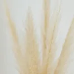 Orjen Sport & Pleasure فندق