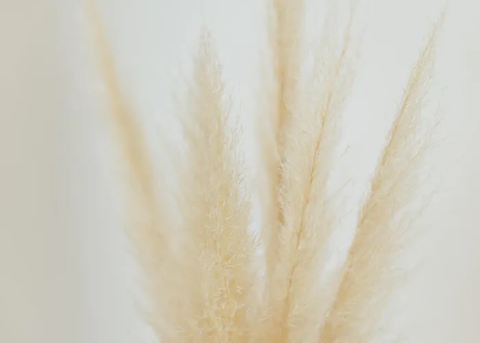 Orjen Sport & Pleasure Hotel