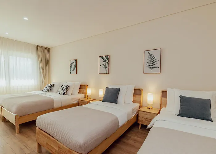 Orjen Sport & Pleasure 4*